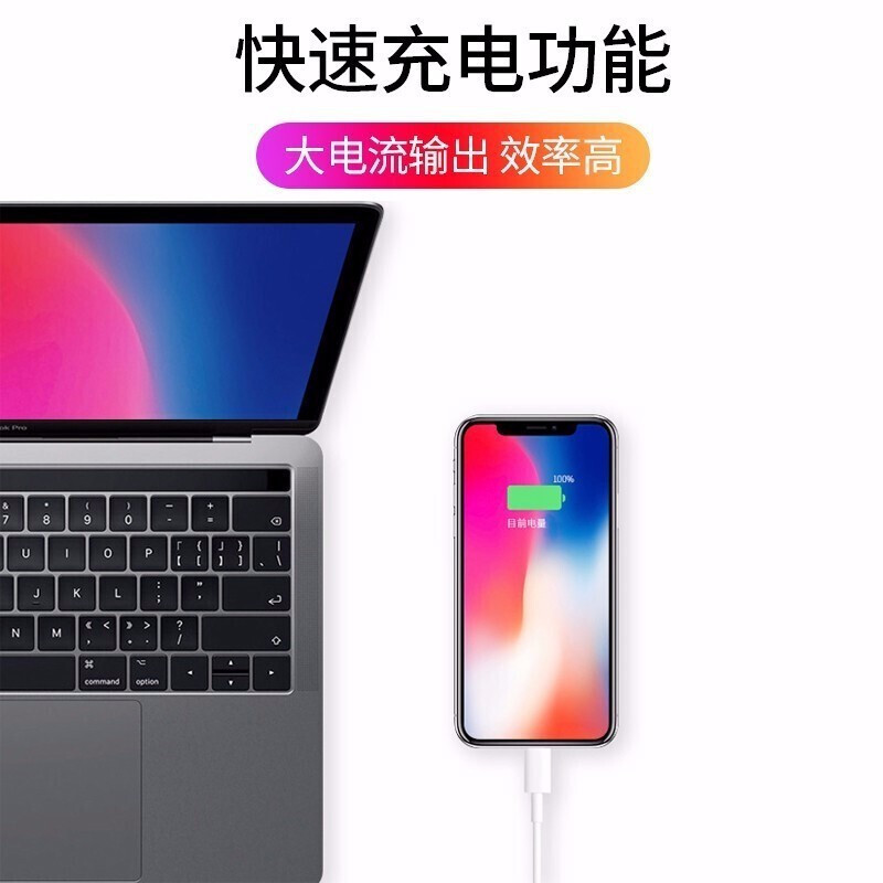 Apple 原装快充线-(1 米) iPhone iPad 手机 快充线 数据线 充电线 iPhone 13/12/14