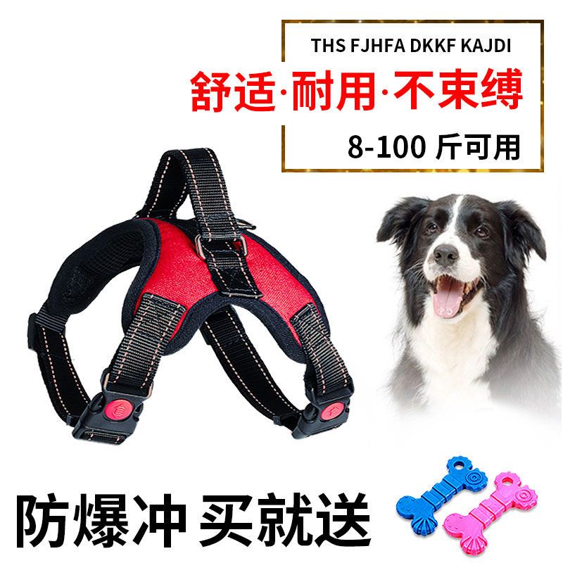 单项圈(不含牵引绳) XS号6-15斤 遛狗绳牵引绳胸背带狗项圈狗绳子金毛狗链子大型犬结实狗狗日用品
