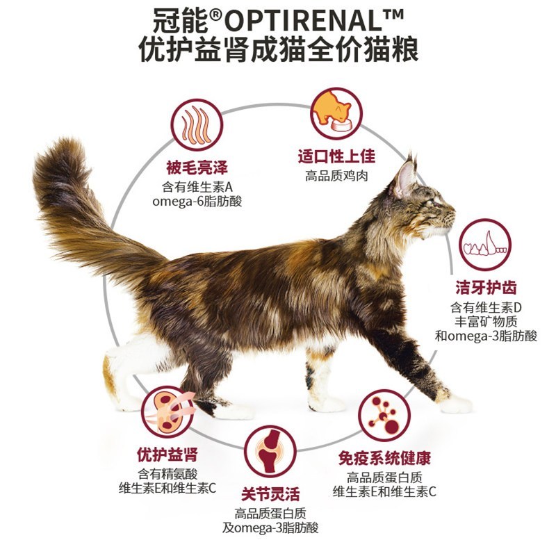 冠能成猫猫粮400g*2包800g室内成猫英短美短蓝猫宠物猫咪主粮