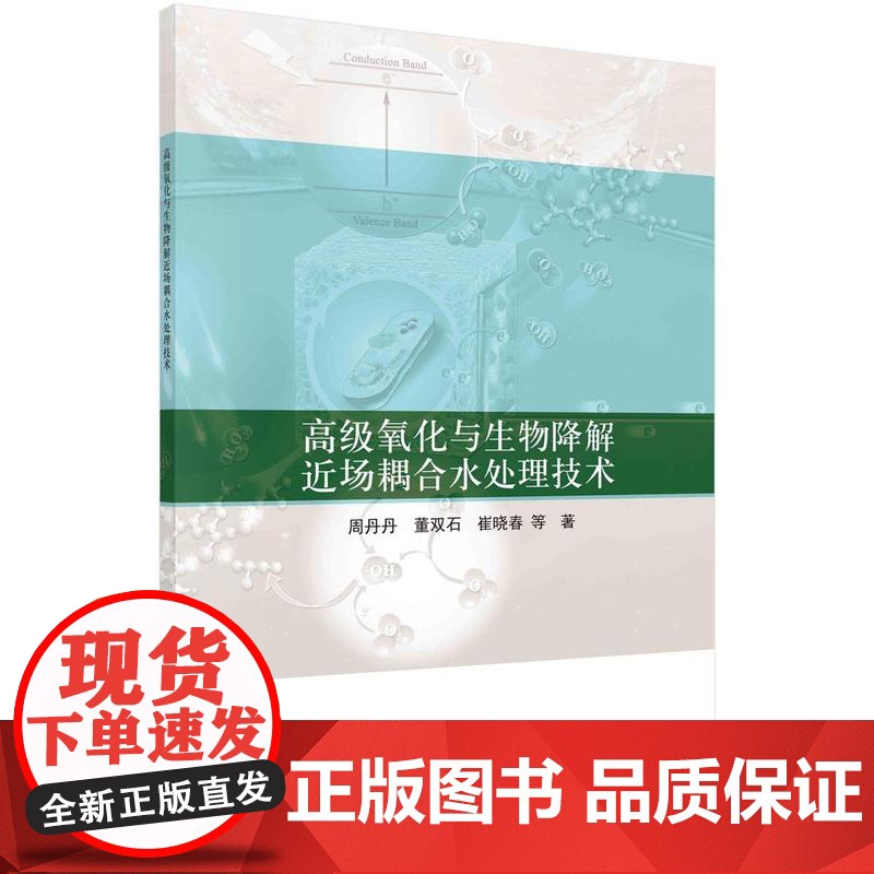 【按需印刷】高级氧化与生物降解近场耦合水处理技术