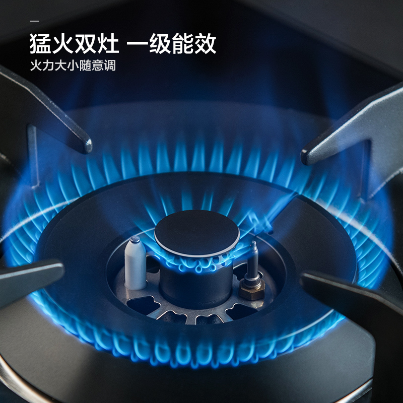 苏泊尔(SUPOR) DB2Z1定时燃气灶煤气灶双灶灶具天然气灶嵌入式炉灶钢化玻璃台嵌两用(液化气)