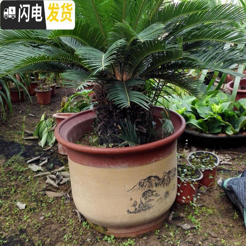 三维工匠花盆紫砂陶瓷花盆 兰花盆特大号红陶大码陶瓷盆 19+22(2个盆) 大花盆容器
