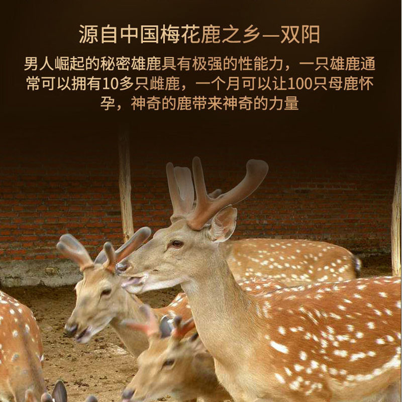 南京同仁堂福记坊人参鹿鞭丸人参鹿鞭牛鞭覆盆子枸杞男性40g/瓶