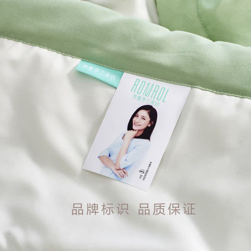 罗曼罗兰(ROMROL)春夏新款夏被 抗菌水洗蛋白夏被 竹青 150*200CM图片