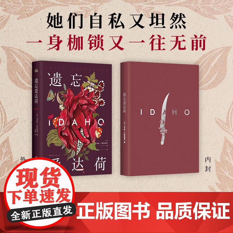 遗忘爱达荷 天才首作一举夺得都柏林文学奖 一段颠覆认知的三角关系,一场始于男人却不止于此的女性情谊 新经典高清大图