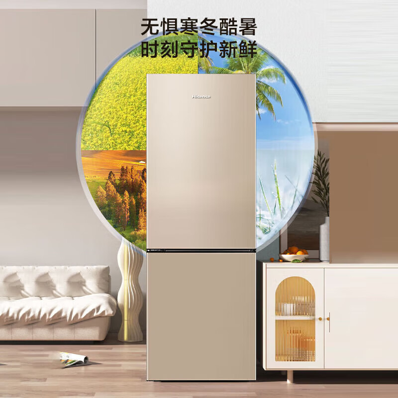 海信170升小型冰箱家用租房双门二门两门双开门电冰箱冷藏冷冻宿舍小户型BCD-170VK1F