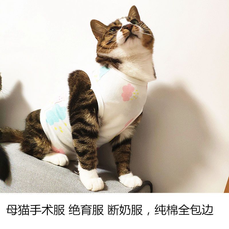 猫咪衣服母猫绝育衣服手术服断奶服柔软薄款四脚衣服猫咪防舔防咬 粉兔兔 S-4斤左右