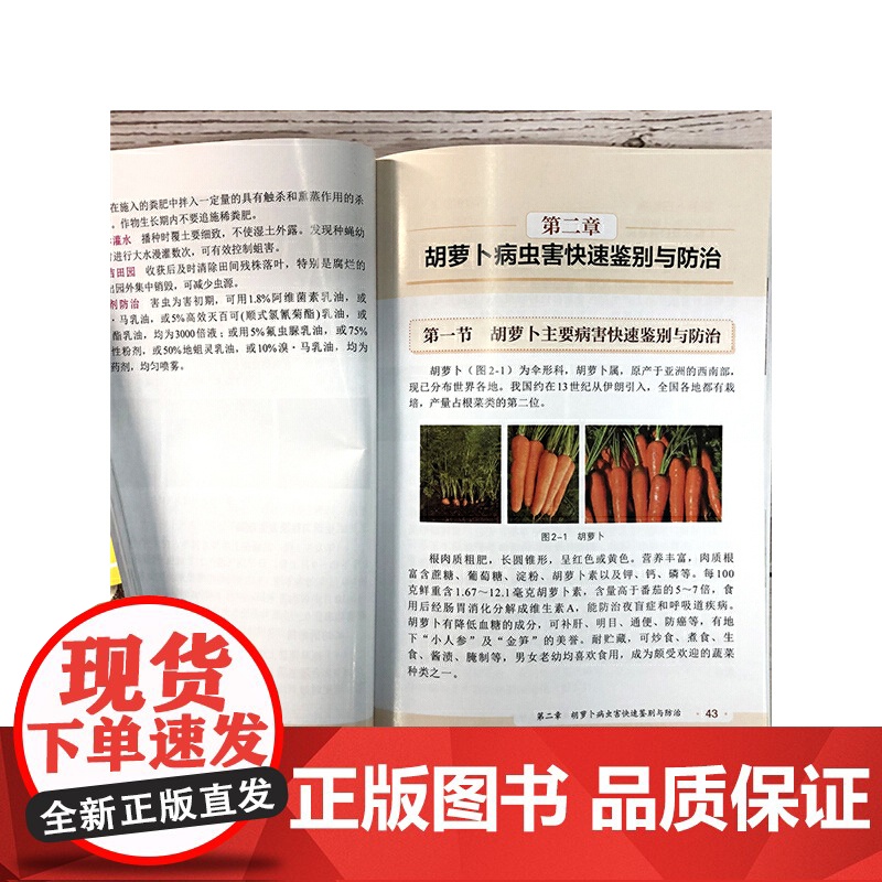 萝卜、胡萝卜、马铃薯病虫害快速鉴别与防治妙招 王天元 化学工业出版社 正版书籍高清大图