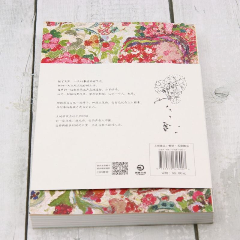 [正版]一蔸雨水一蔸禾 艺术家蔡皋澄澈人生笔记代表作新版 回归清澈活出自己 生活是一万个值得找回生命的感动和生活的意义高清大图