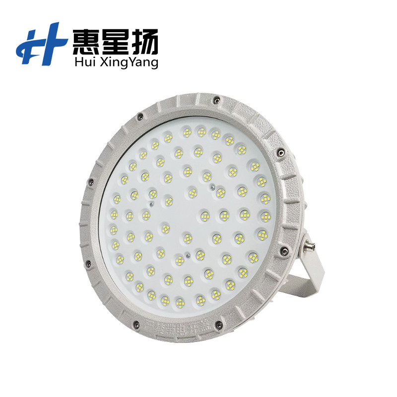 惠星扬 LED防爆泛光灯 圆形 仓库厂房照明灯加油站照明工矿灯侧装防爆灯 100W 个