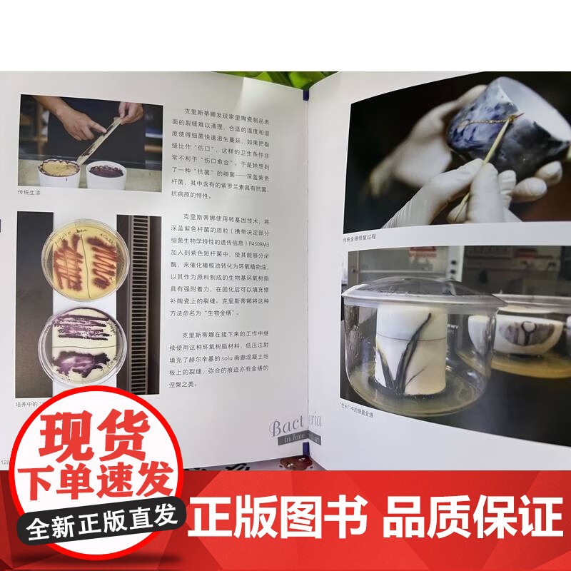 微观创想家 细菌的科学艺术之旅 as科学艺术研究中心 著 科普百科高清大图