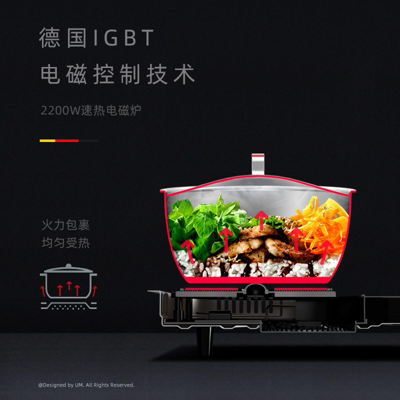 优盟(UM)UZ214D燃气灶天然气灶具煤气灶电磁炉5.0KW大火力气电两用灶-液化气