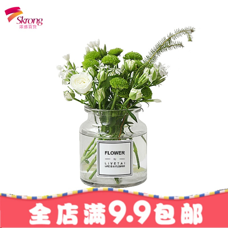 Ins北欧风水培透明小玻璃花瓶现代简约插花器家居装饰摆件报价 参数 图片 视频 怎么样 问答 苏宁易购
