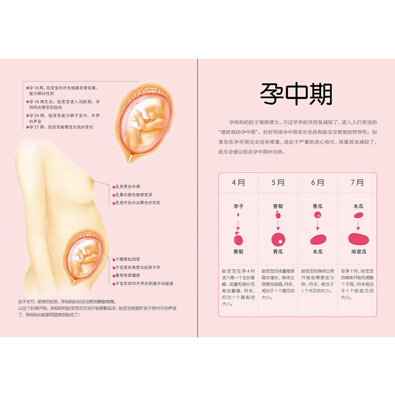 怀孕一天一页+怀孕每周吃什么 [正版]怀孕每周吃什么 孕妇食谱孕妇食谱营养三餐菜谱 大全孕期食谱家常菜孕妇餐食谱孕妈书籍高清大图