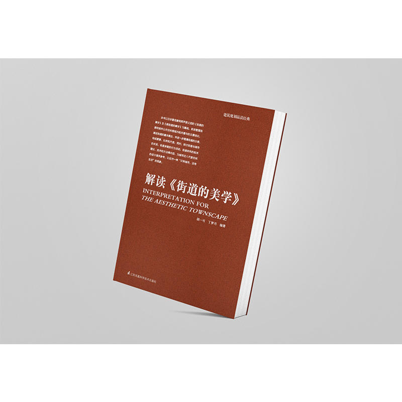 [正版]街道的美学+解读街道的美学 城市公共空间发展城乡规划市政工程 建筑学经典读物 外部空间设计美学 建筑理论街道景高清大图