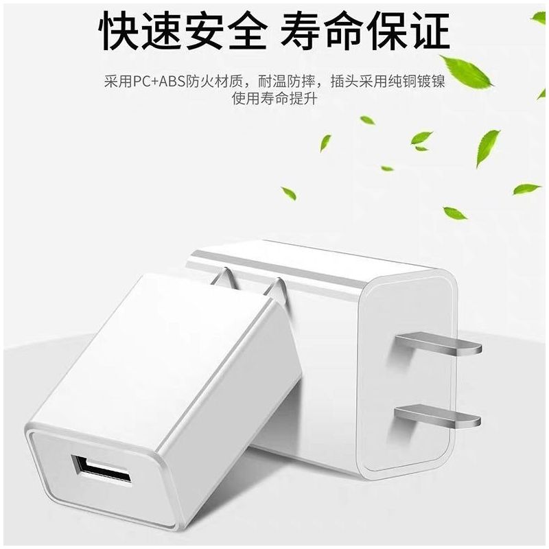 2a双口充电器快充充电头多口安卓华为oppo智能手机通用多用双usb|-2A单口充頭 [-2米苹果iPhone线]