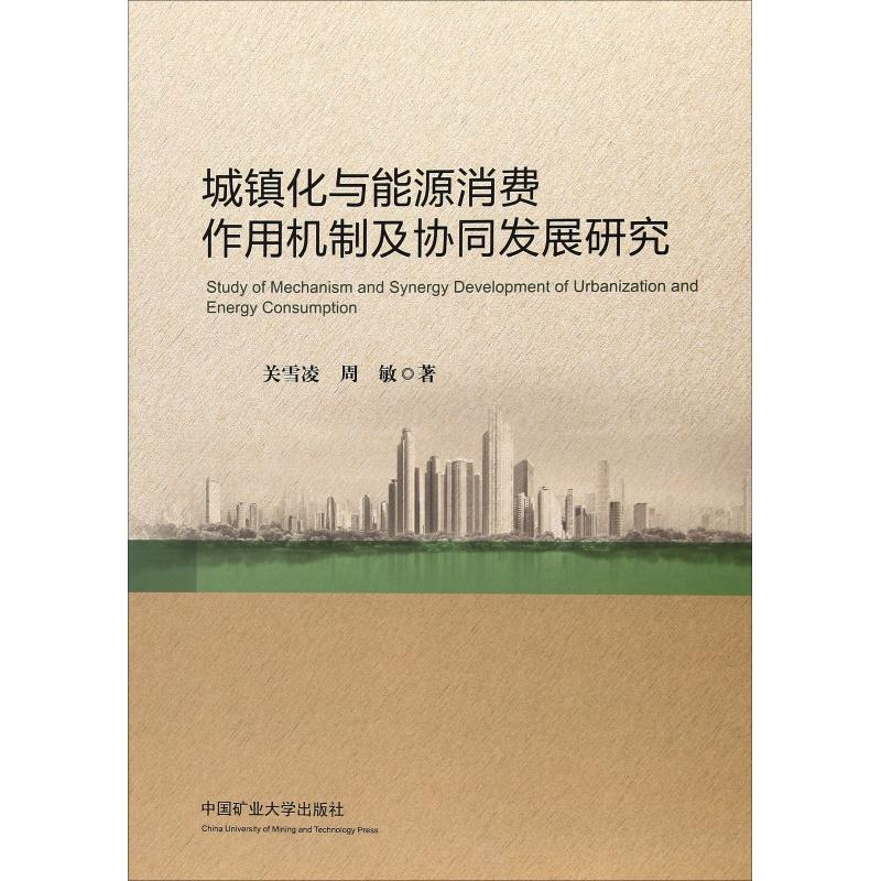 【M】城镇化与能源消费作用机制及协同发展研究-9787564633745
