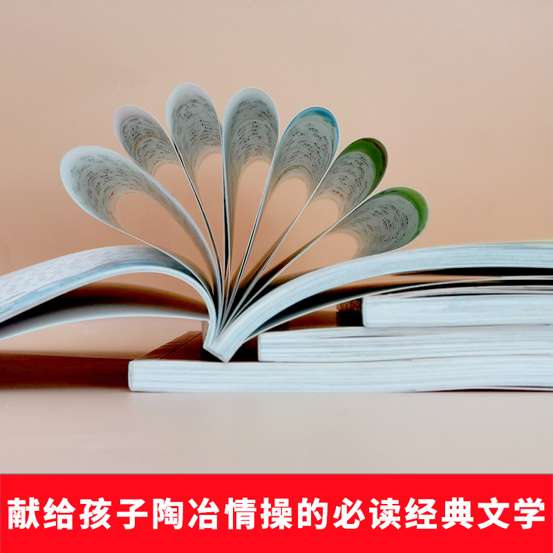 献给孩子陶冶情操的必读经典文学全套4册 [正版]全4册 西游记 水浒传红楼梦 三国演义 四大名著 彩色注音版 6-8-1高清大图