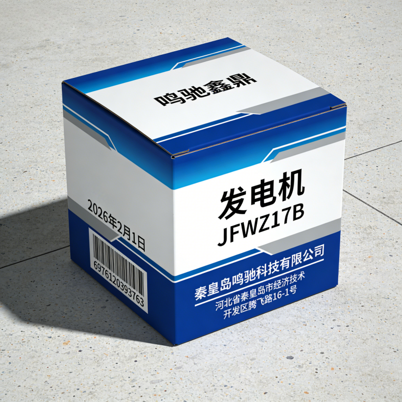 鸣驰鑫鼎 发电机 JFWZ17B 个高清大图