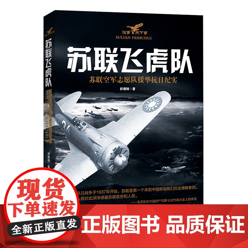 《苏联飞虎队》