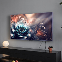 TCL 65英寸语音超薄智能AI全面屏王牌4K高清网络平板液晶电视机免声控遥控
