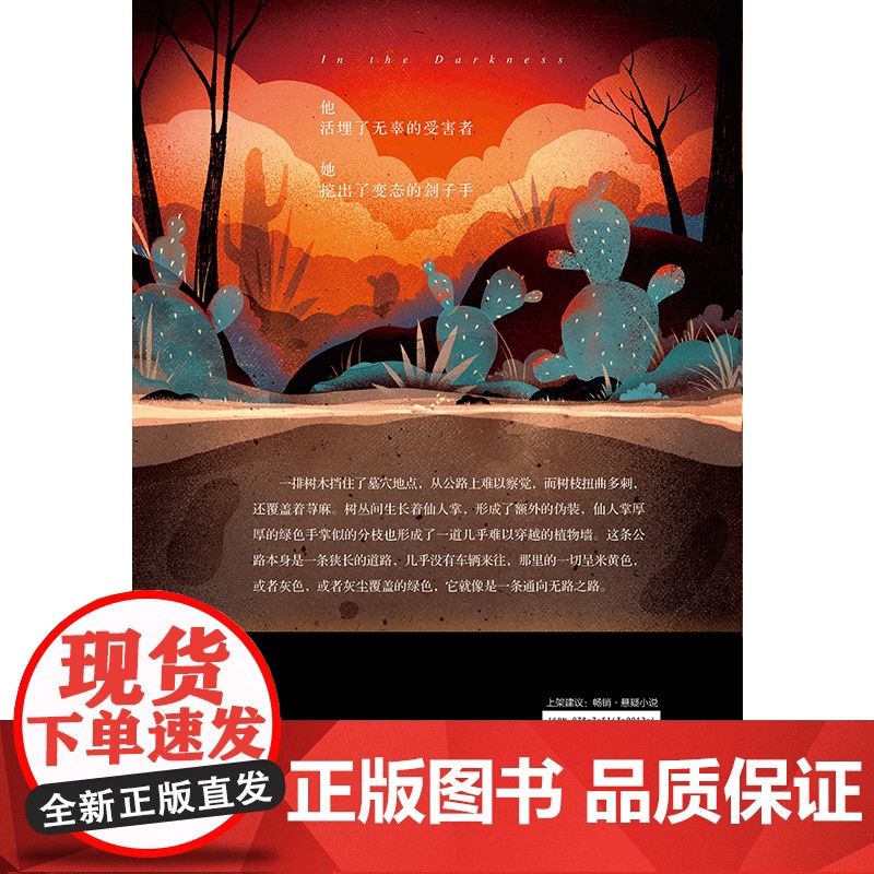 黑暗之中 迈克·奥默 现代出版社 正版书籍高清大图