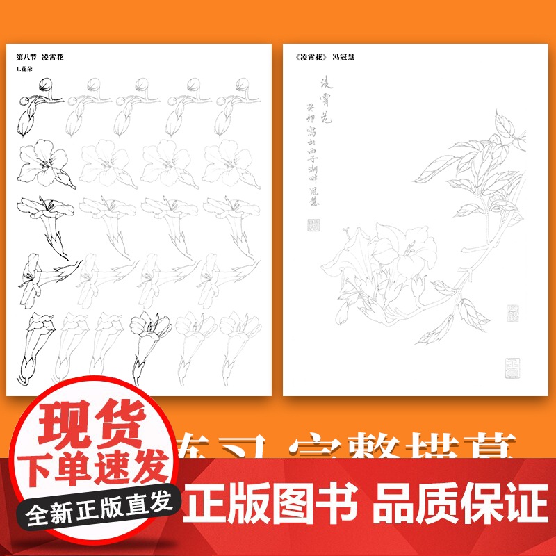 中国画白描入门描摹本国画工笔花卉美术套装画本工具描红书初学者画画临摹画册毛笔绘画练习教材高清大图