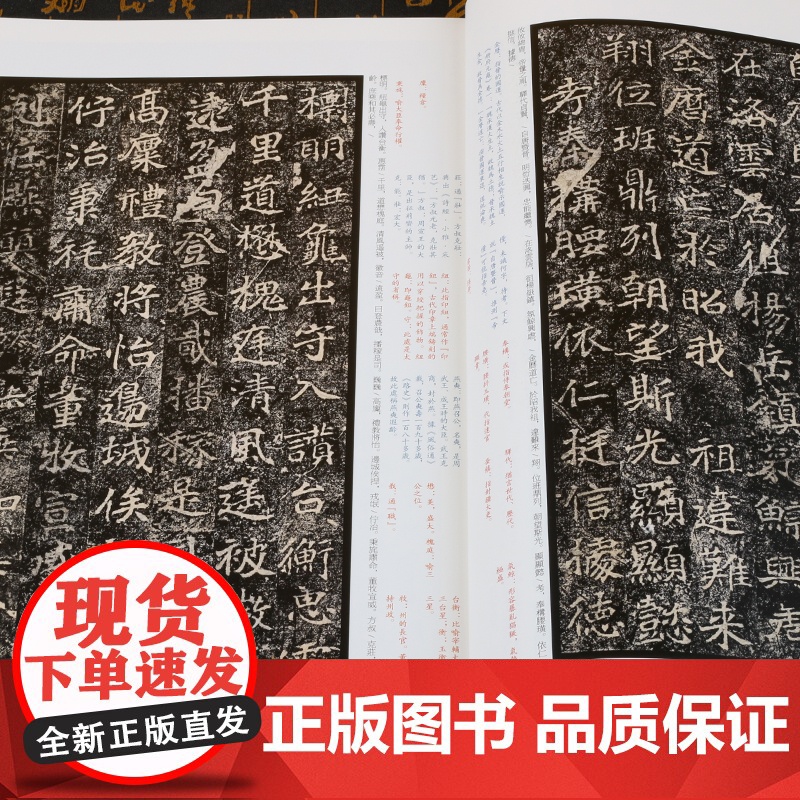 中国碑帖名品33·北魏墓志名品(一)刁遵崔敬邕 司马昞 张黑女张玄墓志 译文注释繁体旁注楷书毛笔字帖书法练古帖上海书画出高清大图