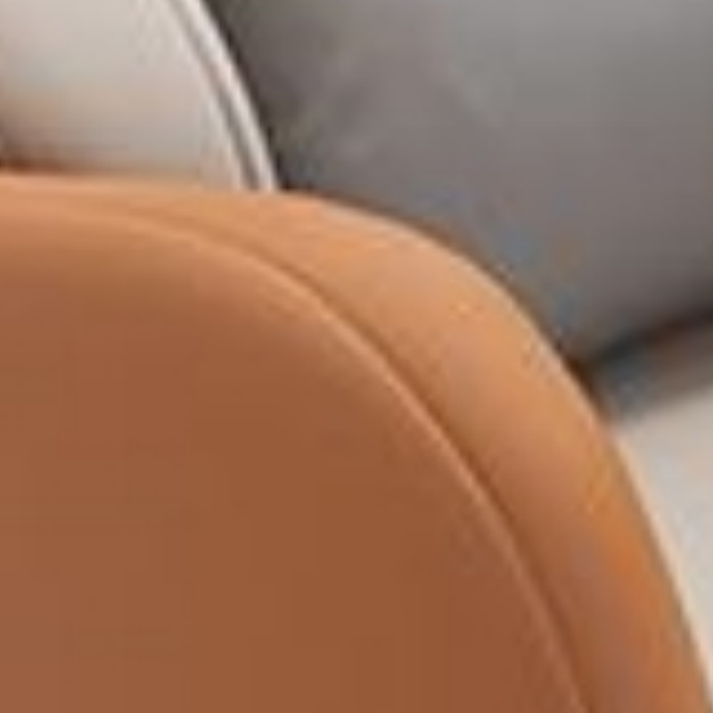 乐琪艺沙发猫爪皮张高清大图