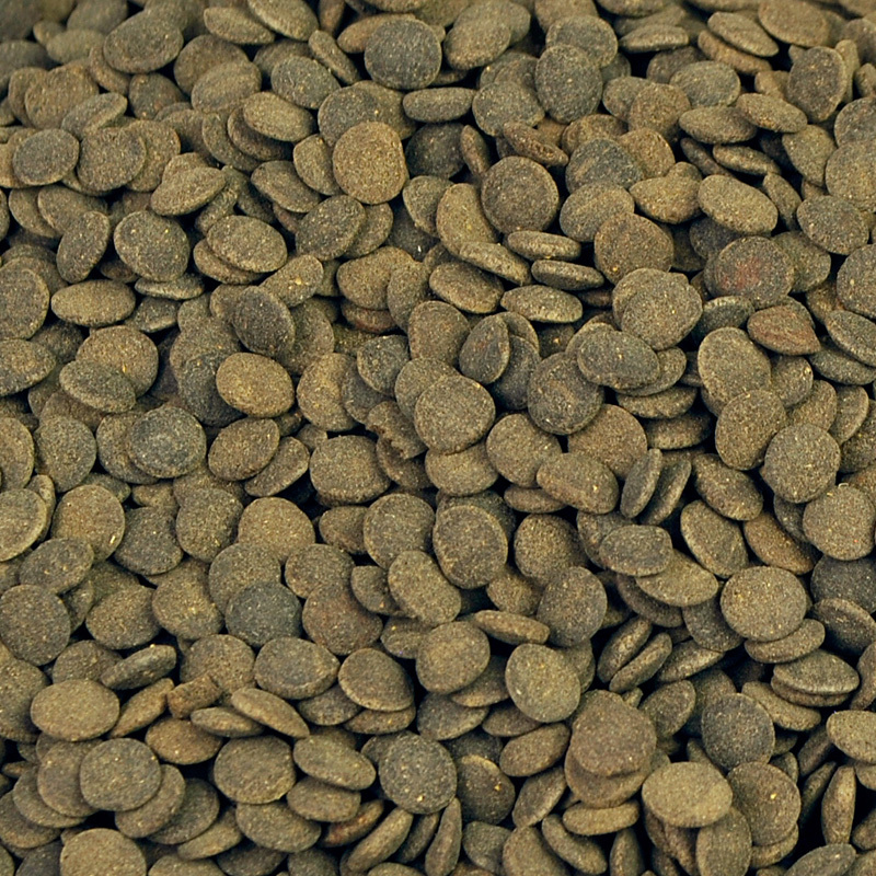 底栖异型饲料 猪鼻龟三间鼠鱼肉食慈鲷沉底缸底鱼六角高清大图