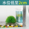 龟缸过滤器低水位乌龟缸吸粪吸便三合一净水循环过滤盒鱼缸乌龟池专用