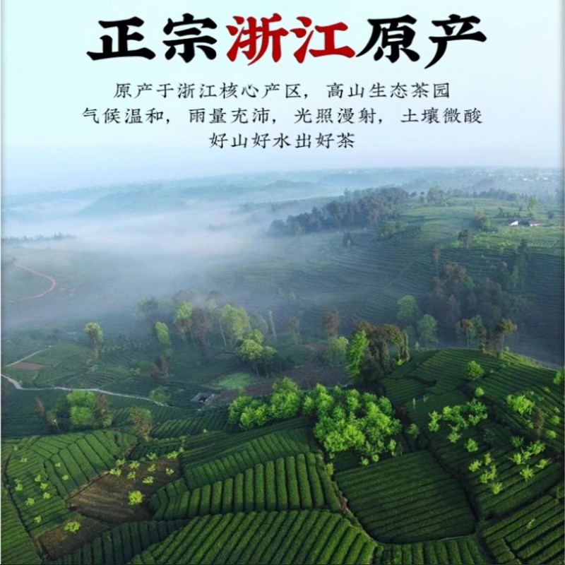 得意轩 新茶龙井绿茶 250克 罐装高清大图