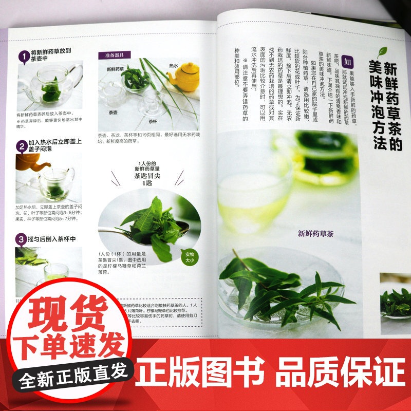 [3本49]药草茶图鉴 四季养生调理食疗古方中的茶疗方本草纲目药茶养生速查全书书籍高清大图