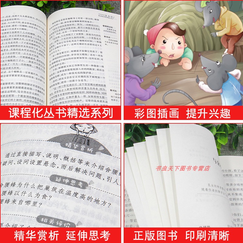[正版]爱阅读 小布头奇遇记 语文丛书 读物 分级阅读名师点拨 青少年成长阅读书籍高清大图