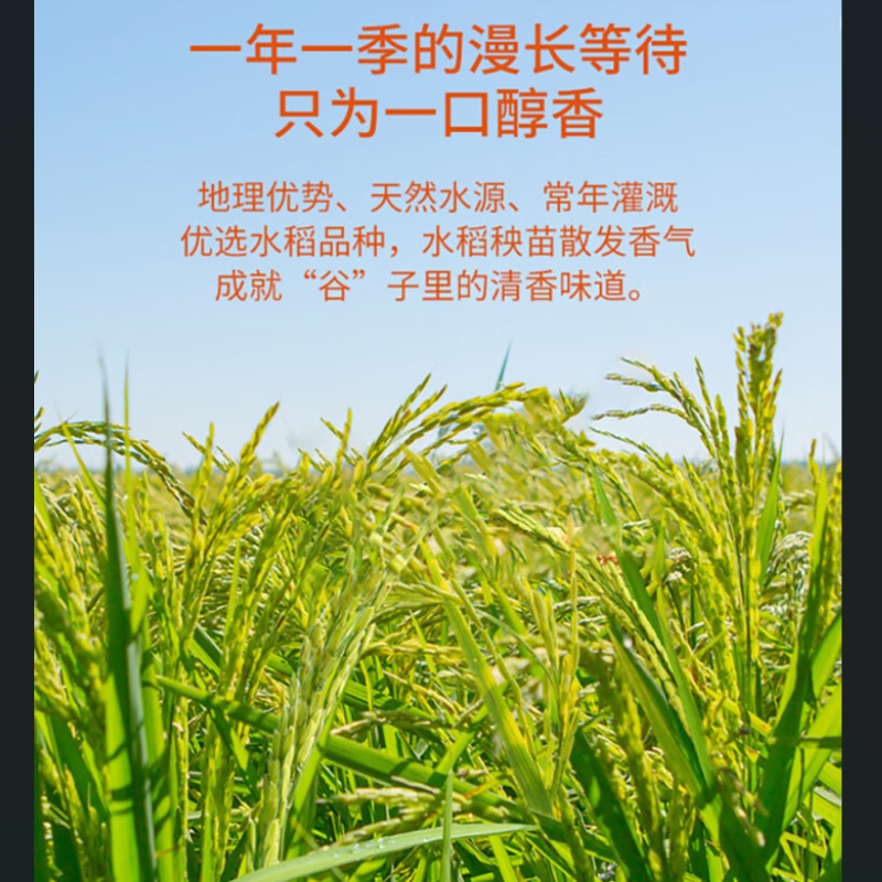万年贡珍香丝苗米 煲仔饭专用 鲜谷现磨 籼米5kg 1袋高清大图