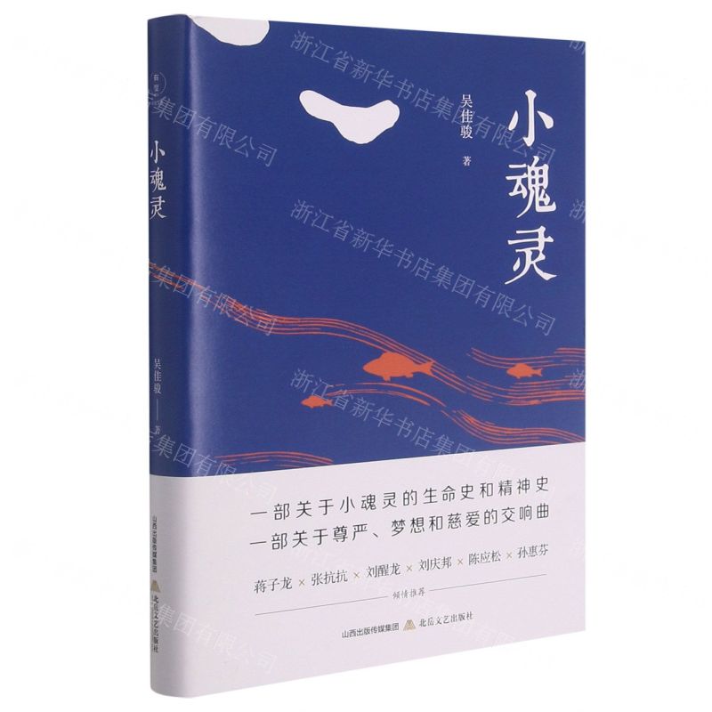 【N】小魂灵(精)-9787537862424