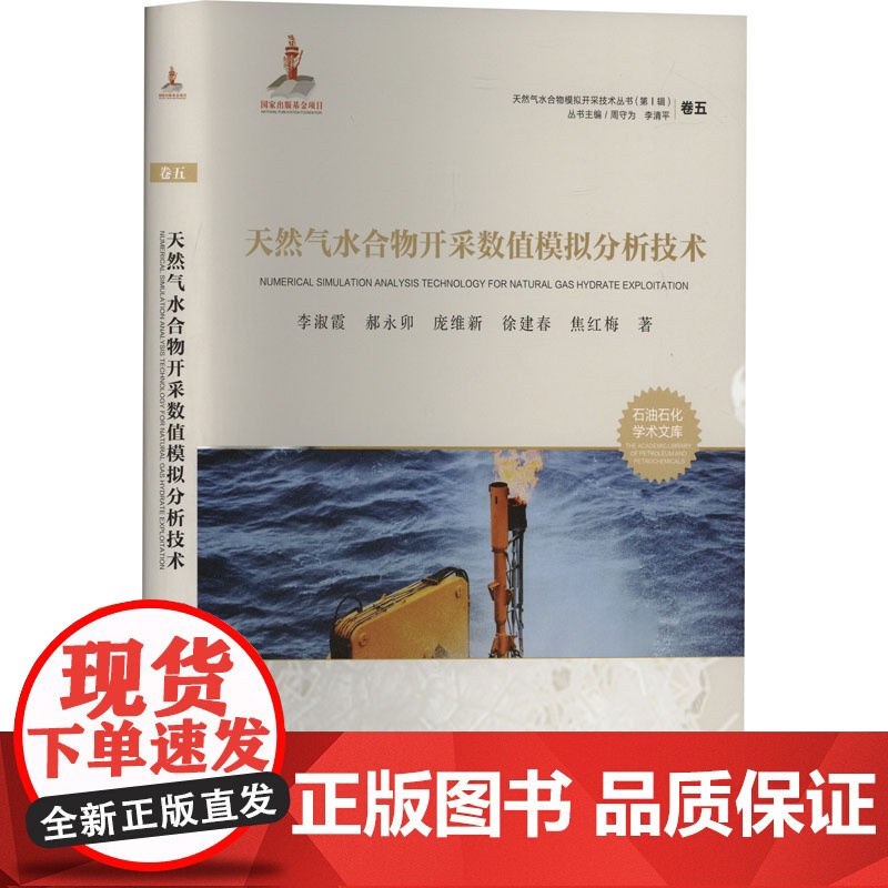 天然气水合物开采数值模拟分析技术 李淑霞 等 著 中国石油大学出版社 能源科学 石油 天然气工业高清大图