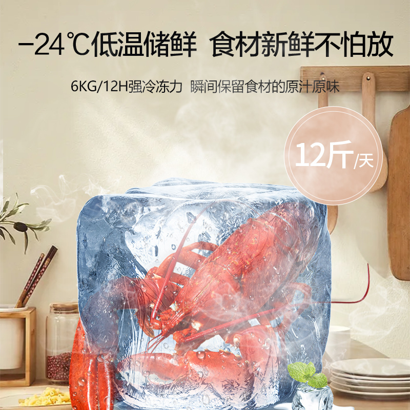 星星出品 东宝BD/BC-145D金 145升家用冰柜 小型囤货冷柜 冷藏冷冻转换柜 节能省电 迷你小冰箱