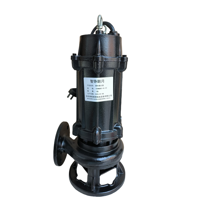 智铮朗月 潜水排污泵 100WQ80-45-22 台高清大图