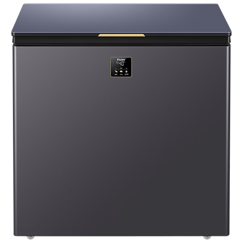 海尔(Haier)卧式冷柜冰柜家用200升零下-40度超低温小型大容量无需频繁除霜冷冻柜 BC/BD-200GHEPG图片
