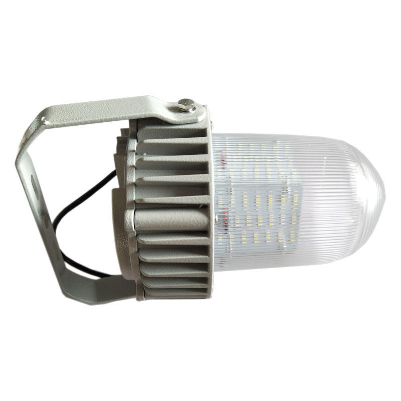 领航电器(LHDQ) LHF2105/G 50W 220V IP65 冷光 LED平台灯 灰色