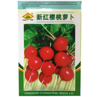 子暄 新手易种 樱桃萝卜种子 蔬菜菜籽 阳台种菜盆栽