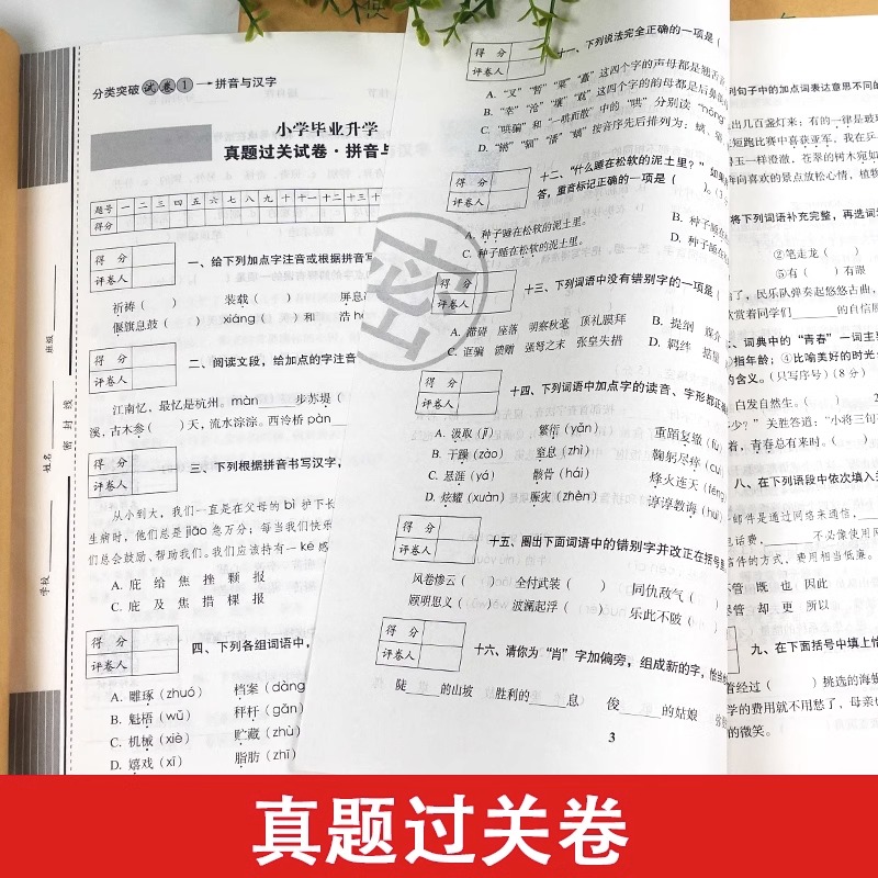 [醉染正版]小学毕业升学考前突破语文数学英语全套专项训练小升初真题分类卷68所六年级期末总复习冲刺重点中学百校联盟新题型高清大图
