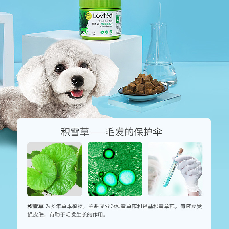 积雪美毛丸宠物比熊卵磷脂狗狗爆毛粉边牧亮毛美毛软磷脂高清大图