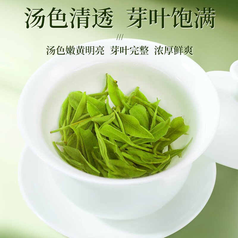 一杯香 250g 茶叶明前头芽云雾绿茶新茶春茶礼盒装日照足云雾5星 125g*2 (单位:盒)