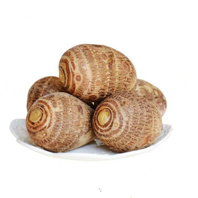 【鲜贝达】芋头中球精选山东新鲜芋头粉糯奶心小芋头5斤