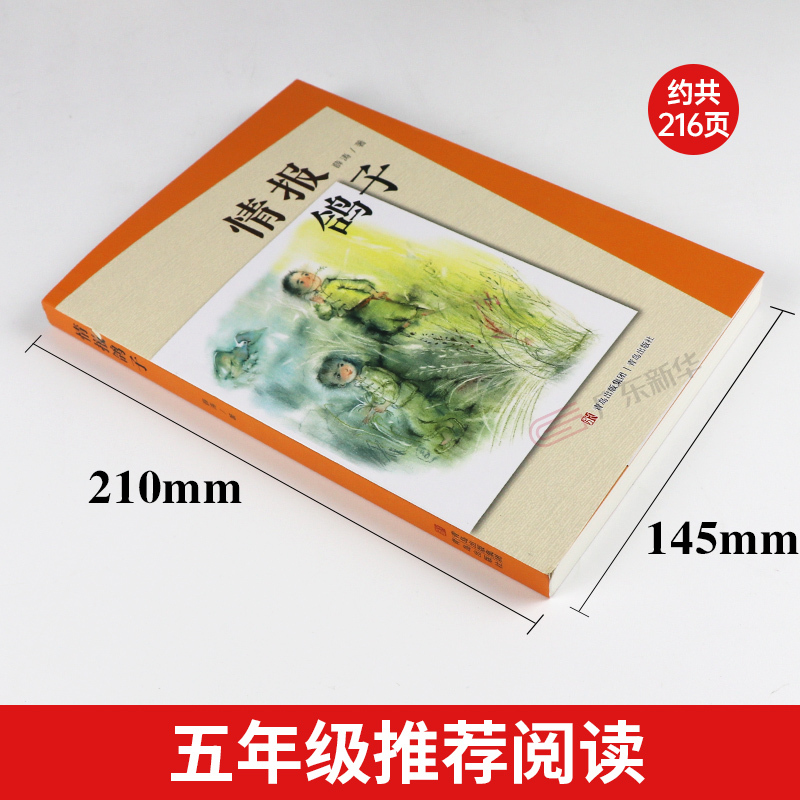少年满山系列:情报鸽子 [正版]少年满山系列:情报鸽子青岛出版社薛涛五年级整本书阅读笔墨书香经典阅读打卡小学生课外阅美好