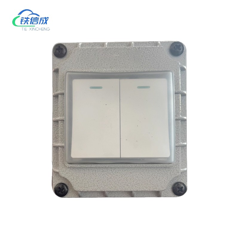 铁信成 双位开关总成 TXC - 2P 个