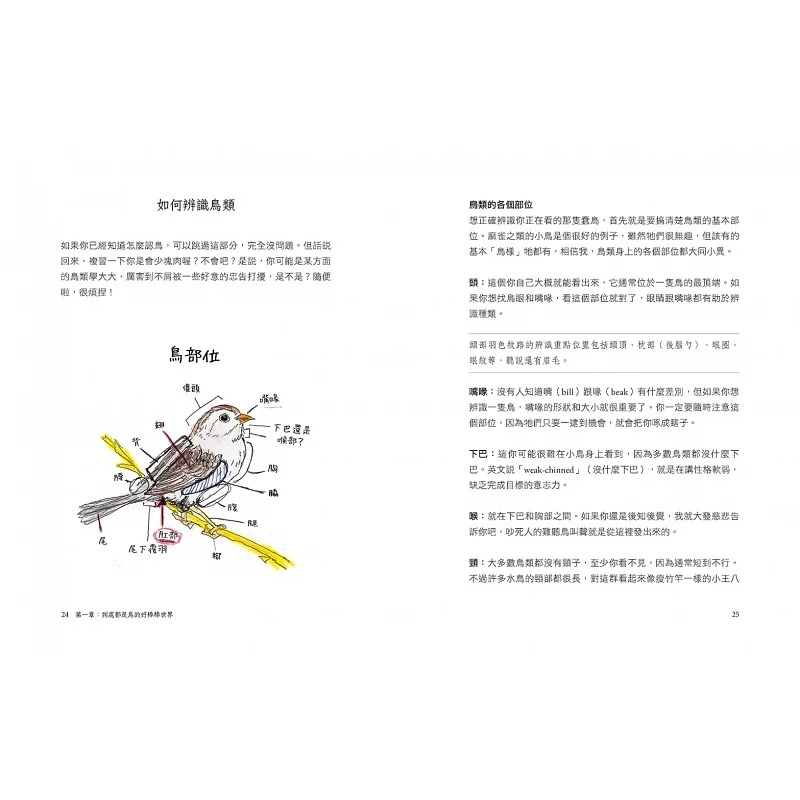 [正版]在途 鸟事一堆!超崩溃鸟类观察笔记:来自全世界,集结海陆空,六种体型、七大劣根性 马特.克拉赫特 北美傻鸟观察高清大图