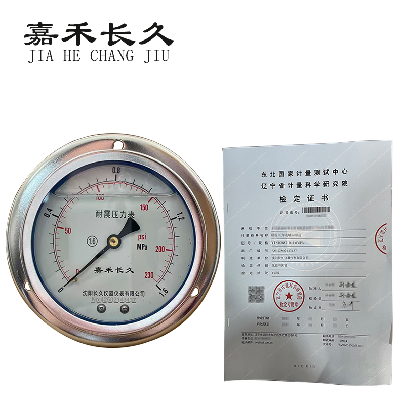 嘉禾长久 耐震压力表轴向带边(带辽宁省级检定证书)YTN100ZT 块高清大图